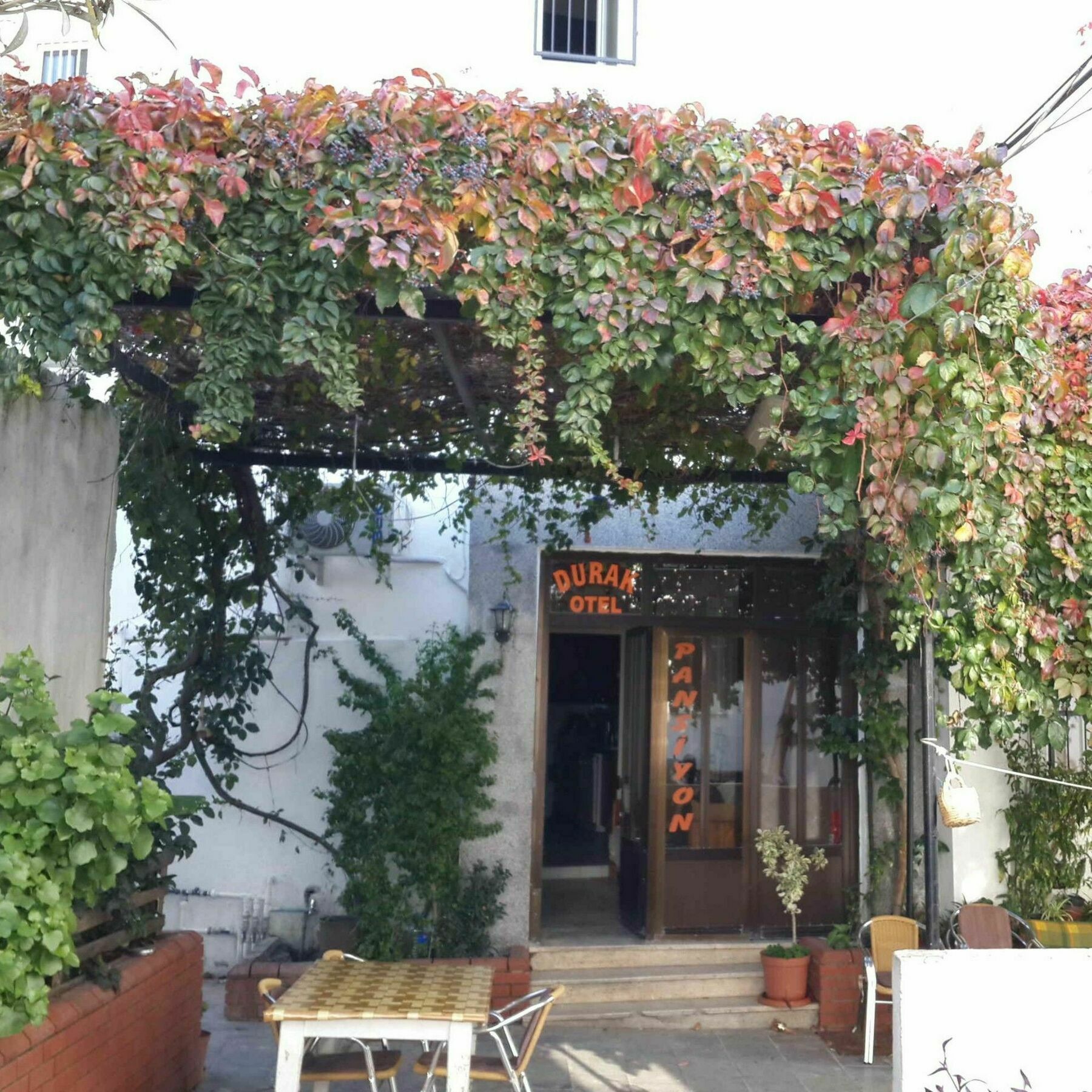 Durak Hotel Bodrum Extérieur photo